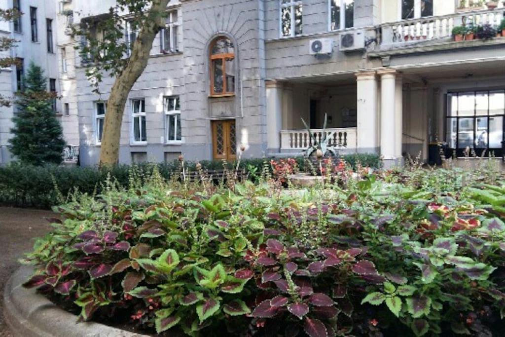 Gorgeous Flat Right Near The City Center Budapest Kültér fotó